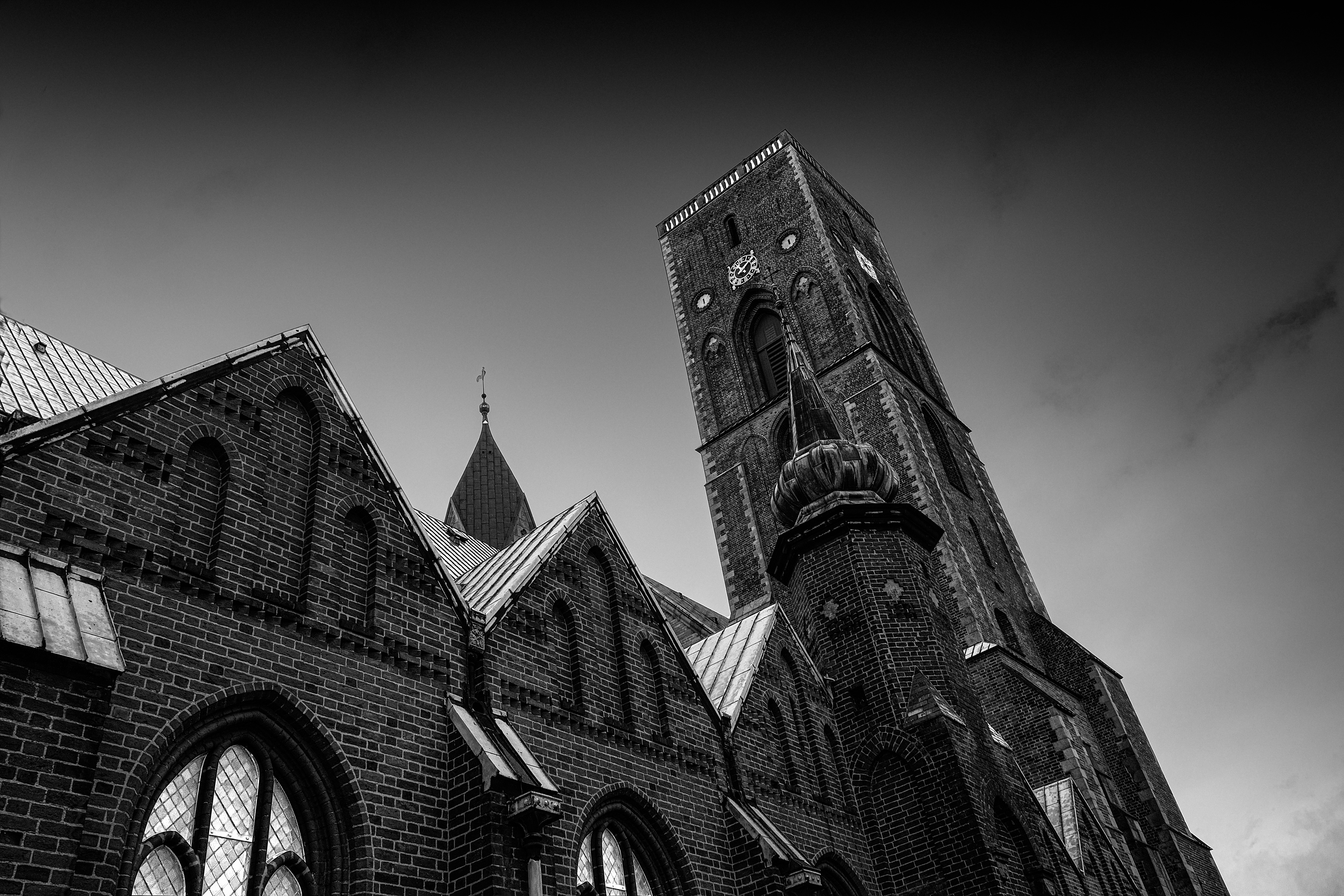 Ribe Domkirke